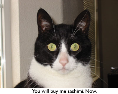 You will buy me sashimi. Now.